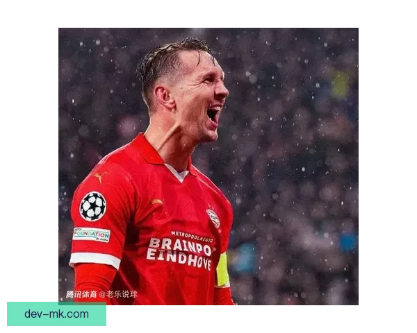 吕克·德容宣布正式退役 结束荷兰国家队辉煌职业生涯