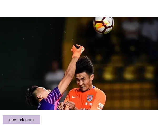 塞鸟正式加盟中国男足出战世预赛引发球迷热议与期待