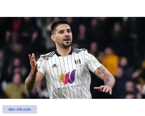 富勒姆高价转会米特罗维奇沙特豪门引震动