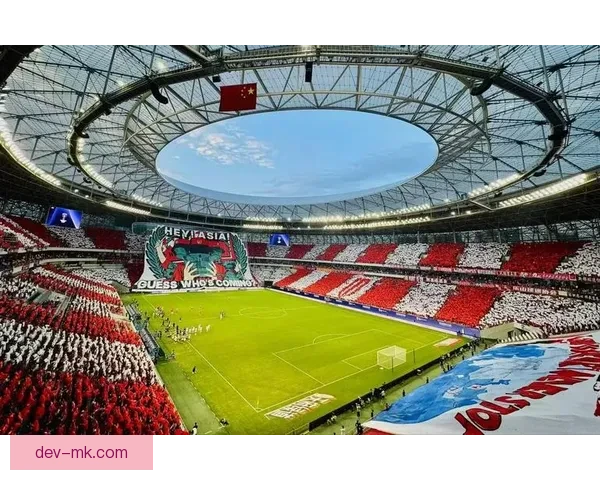 成都蓉城凤凰山主场入选亚足联2026亚洲十大氛围足球场引爆全城