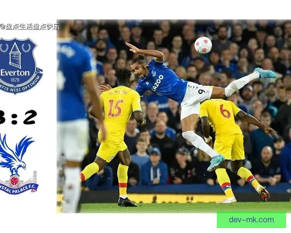 英超惊现逆袭奇迹 埃弗顿艰难保级成功震撼全场